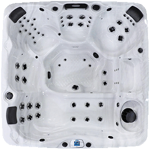 Avalon EC-867L hot tubs for sale in hot tubs spas for sale Mesa