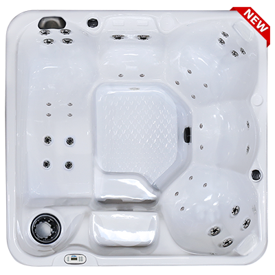 Hawaiian PZ-636L hot tubs for sale in hot tubs spas for sale Mesa